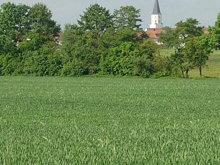 Landwirtschaftliches Grundstück mit Zukunft, Acker in Ortsnähe