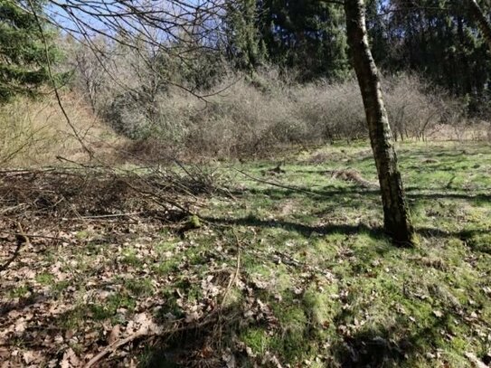 Baugrundstück mit Hanglage und trapetzförmigem Zuschnitt, im WochenendhausgebietIm Hasental Mehren