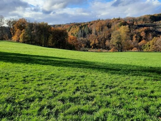 Neuer Preis! Pferdehaltung mit ca. 10 ha Pachtland, Mehrgenerationenwohnen, Wohnen und vermieten, Kfz-Werkstatt, Lagerf…