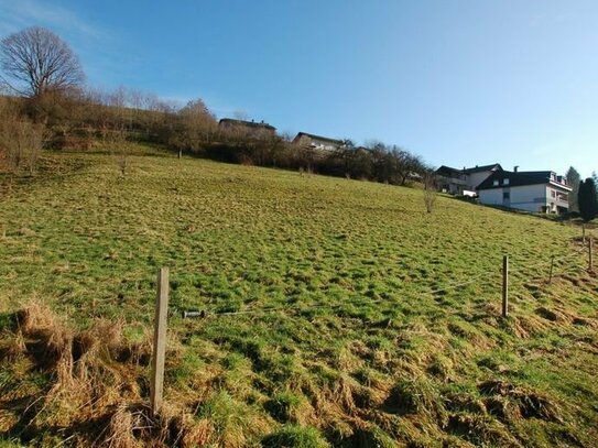 STARK REDUZIERT! - Großzügiges Baugrundstück in Gammelsbach zu verkaufen!