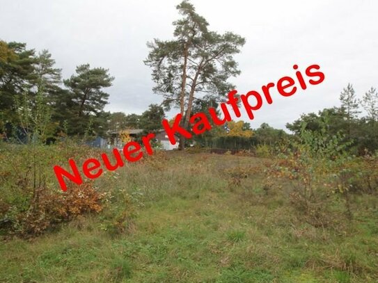 Heidesee OT Kolberg - Grundstück ohne Bauträgerbindung