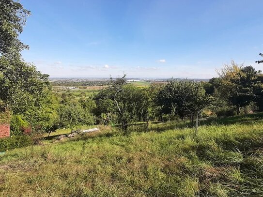 Idylle mit Ausblick - Garten in ruhiger Lage mit Weitsicht