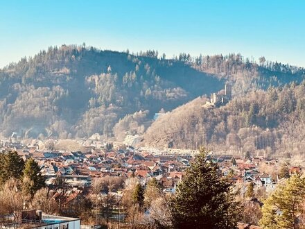 Sonnige modernisierte 3 - Zimmer Terrassenwohnung (124 qm) mit großer Terrasse und herrlichem Ausblick!