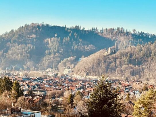 Sonnige modernisierte 3 - Zimmer Terrassenwohnung (124 qm) mit großer Terrasse und herrlichem Ausblick!