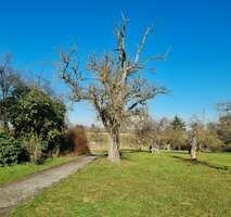 *** Ein Familienparadies: Tolles Reiheneckhaus mit großem Garten am Feldrand ***