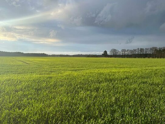 9,6 ha Grundbesitz in einem Flurstück in der Altmark bei Seehausen