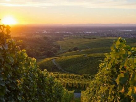 Luxuriöse Hotelanlage umgeben von traumhafter Landschaft in Baden-Baden