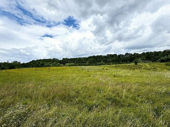 2,0 ha Acker-, Grün- und Unland