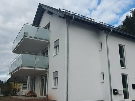 Neubau 4 Familienhaus in Niedereschach mit Luft-Wärmepumpe