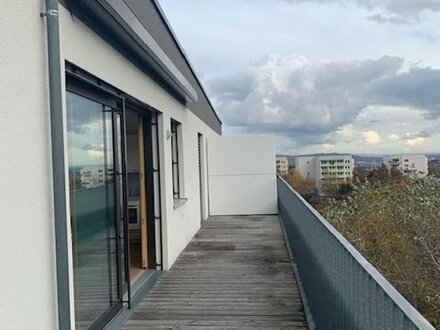 Helle, sonnige Wohnung mit sonniger Dachterrasse und schönem Blick in die Sächsische Schweiz !