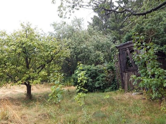 unbebaute gemischte Baufläche in Niesky OT Kosel zu verkaufen