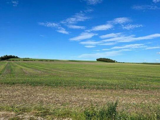 Landwirtschaftliche Flächen zu verkaufen!