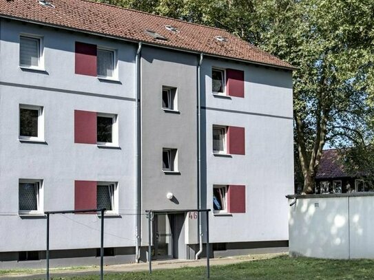 Neues Tageslichtbad mit Dusche - 2-Zimmer-Wohnung in Herne Wanne-Süd