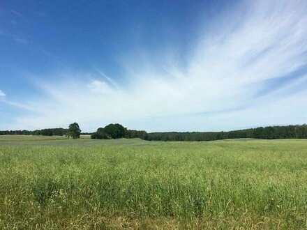 Tolles Baugrundstück in Bucha mit ca. 800,00 m²