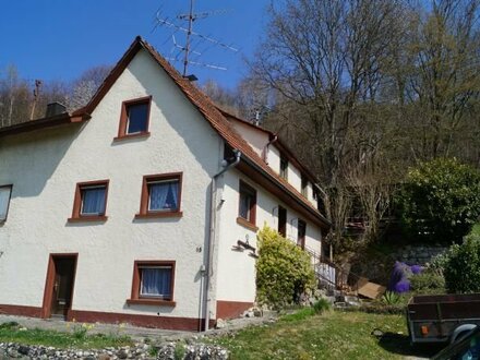 renovierungsbedürftiges Haus, oder Abriss mit ca. 890 m² Grundstück in Zizenhausen