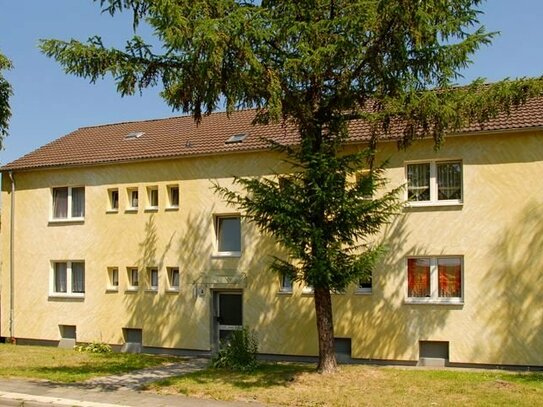 3-Zimmer-Wohnung in Recklinghausen Hochlarmark