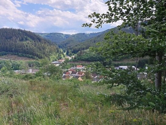 GANESHA-IMMOBILIEN...schöne Waldlichtung mit Fernblick zu verkaufen !