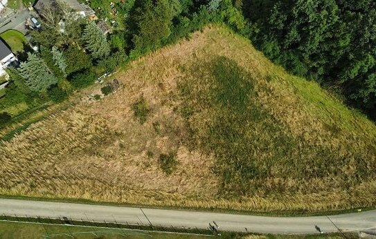 BAUGRUND MIT BAUGENEHMIGUNG FÜR BAUPLAN EFH!