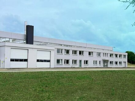 Hochwertiges Bürogebäude mit Labor- / Lager- / Werkstattflächen in Borgentreich - OT zu vermieten!