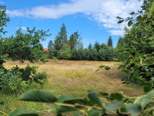 wunderschönes, großes Baugrundstück (4.885 m²) für 3 bis 4 Einfamilienhäuser oder Mehrfamilienhaus in Bad Bodenteich