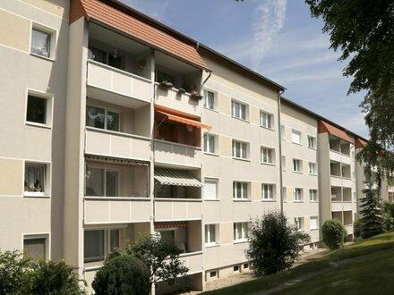 Wohnung mit Blick auf den Geiseltalsee!