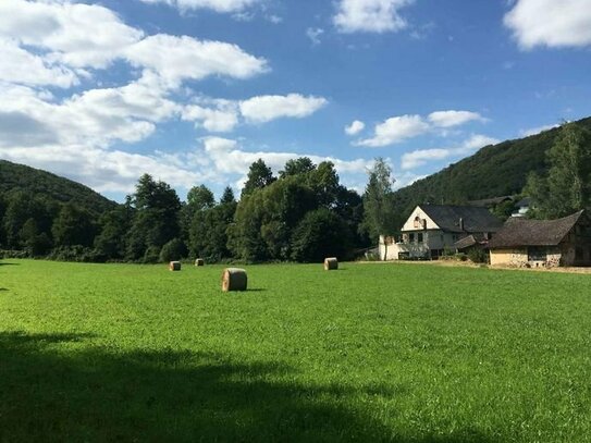 Ehe. Mühlenanwesen mit Landwirtschaft in Alleinlage