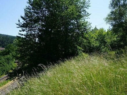 Mit Volldampf zum Grundstück im Pfälzerwald