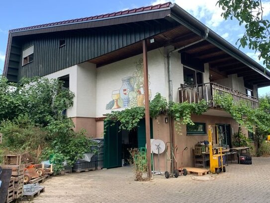 Wohnen im idyllischen Außenbereich mit Wein und viel Platz für Hobbys