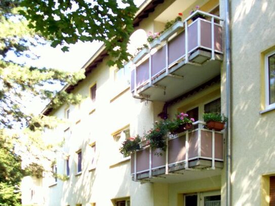 Wohnung zur Miete, for rent at (65936), Frankfurt am Main, Sossenheim,, Germany