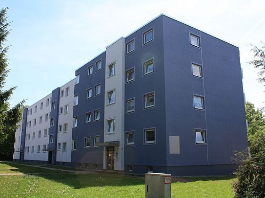 Kaltmiete zzgl. Nebenkosten, for rent at Kernstadt, Seesen (38723), Germany