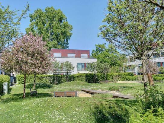 Kaltmiete zzgl. Nebenkosten, for rent at Klingsorstraße 104 , Lichterfelde , Berlin (12203)