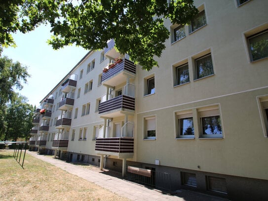 Wohnung zur Miete, for rent at Magdeburg, (39110), Beimssiedlung,, Germany