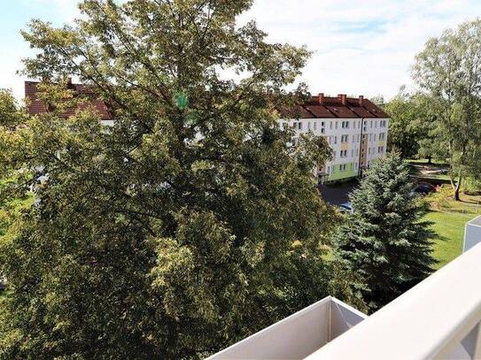 Wohnung 33 m² 530 € zur Miete Alfons-Pech-Straße 27,Altendorf,Chemnitz(09116)