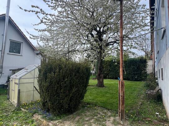 Kaltmiete zzgl. Nebenkosten, for rent at Seifhennersdorfer Str. 28a , Neugersdorf , Ebersbach-Neugersdorf (02727)