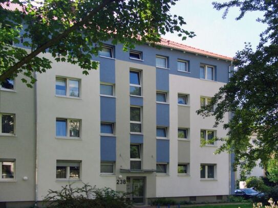 Wohnung zur Miete, for rent at Eckenheim,, (60320), Frankfurt am Main, Germany