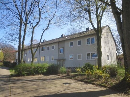 Kaltmiete zzgl. Nebenkosten, for rent at Gladbeck (45966), Germany