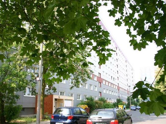 Wohnung zur Miete, for rent at Magdeburg, (39126), Neustädter Platz,, Germany