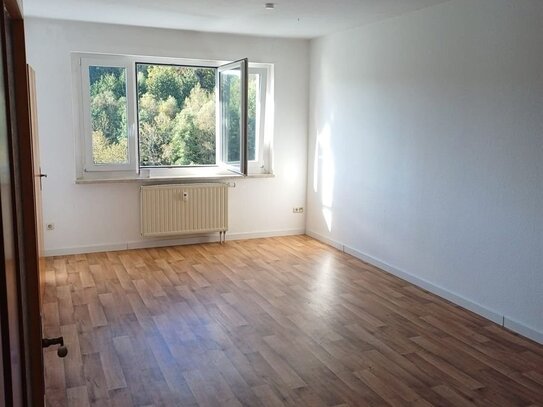 Studio zur Miete, for rent at (07343), Wurzbach, Wurzbach,, Germany