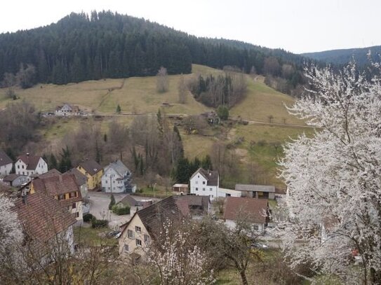 Kaltmiete zzgl. Nebenkosten, for rent at Schramberg (78713), Germany