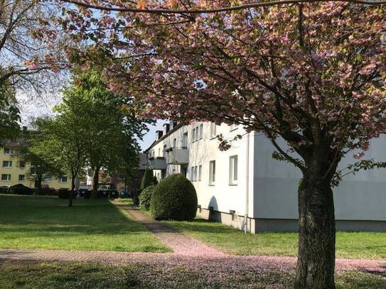 Nettokaltmiete exkl. Betriebskosten, for rent at Tulpenweg 23 , Senne , Bielefeld (33659)
