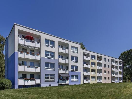 Wohnung zur Miete, for rent at Wickeder Feld,, Dortmund, (44319), Germany