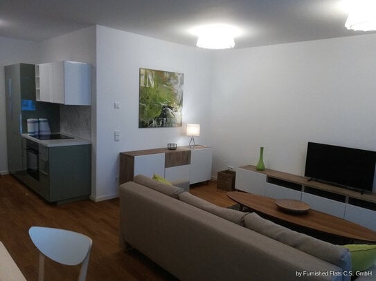 Wohnung zur Miete · Wohnen auf Zeit, for rent at (10247), Friedrichshain,, Berlin, Germany