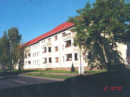 Kaltmiete zzgl. Nebenkosten, for rent at Schilfbreite 27 , Leipziger Str. , Magdeburg (39120)