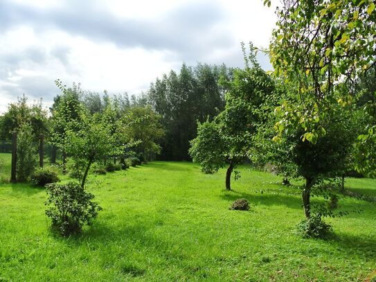 Freistehendes Einfamilienhaus mit großem Garten mit Obstbäumen zu vermieten.