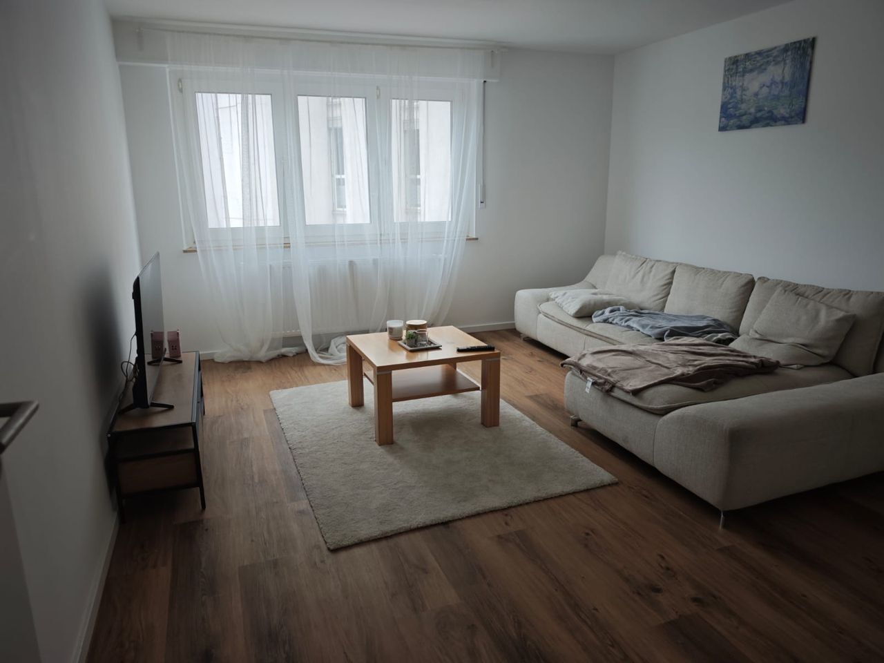 Wonderful and nice apartment close to city center (Stuttgart), Stuttgart - Amsterdam Apartments for Rent