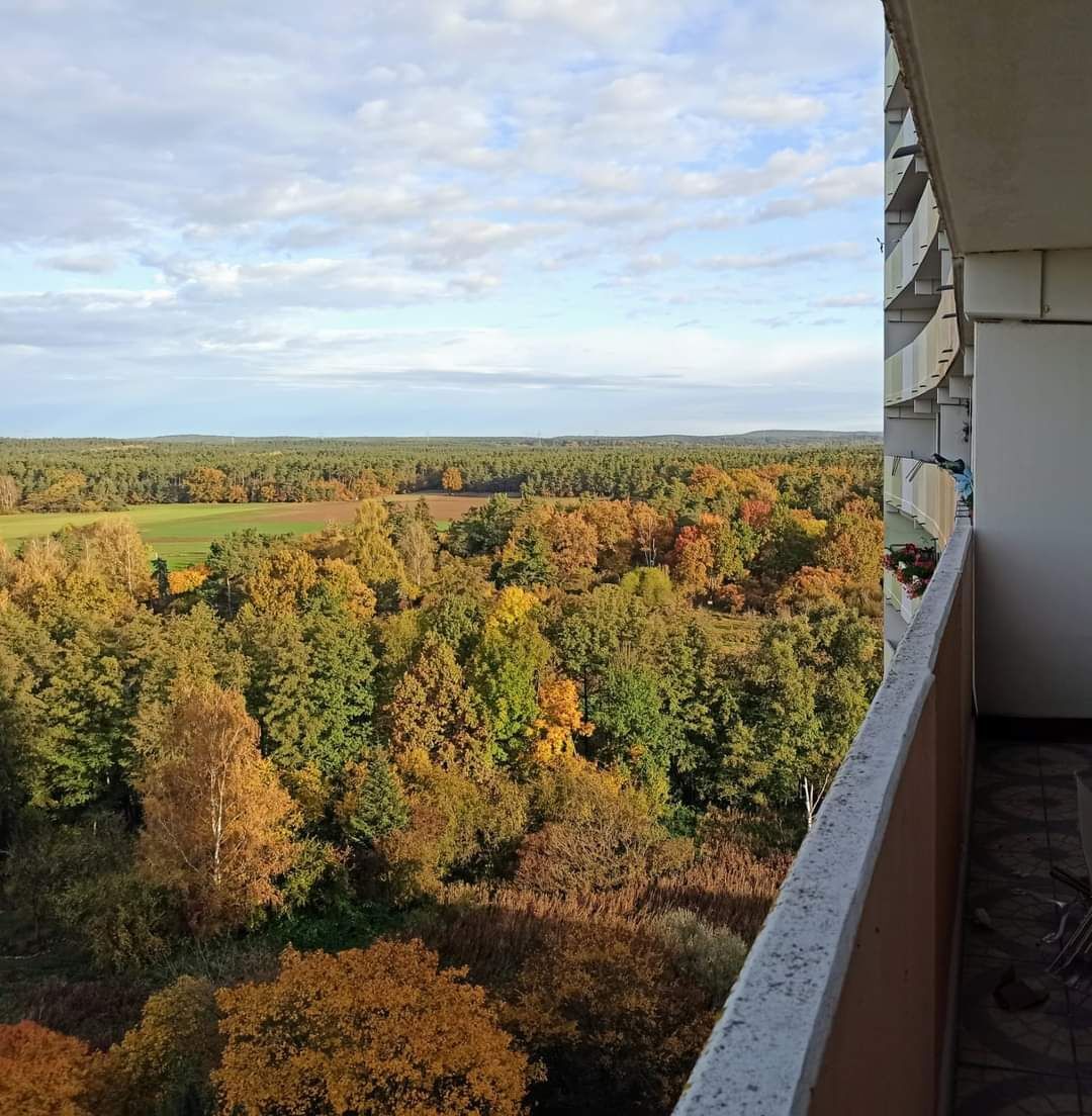                                                               Furnished 2.5 room apartment in Erlangen with great view for rent, Erlangen - A&hellip;                                                       in Alterlangen (Erlangen)