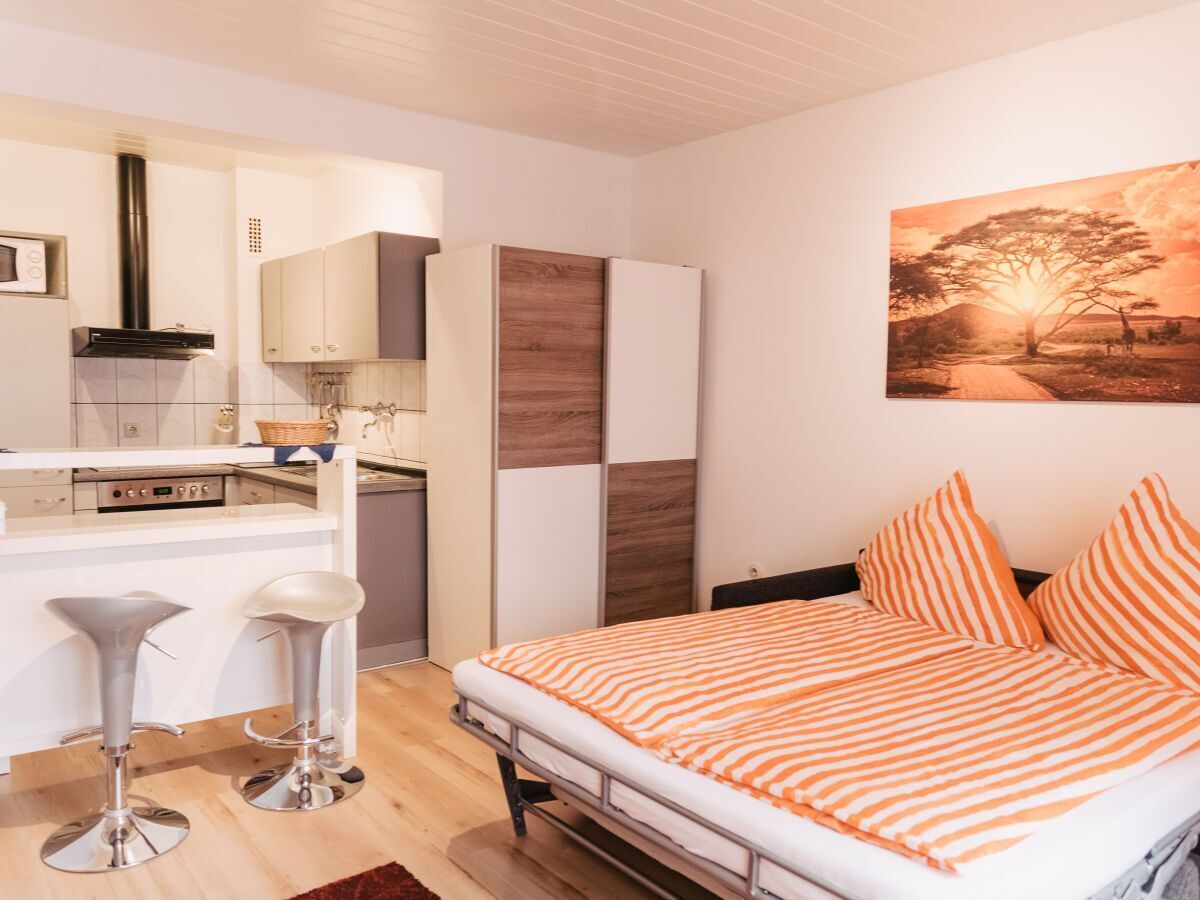                                                               Bright &amp; homelike temporary apartment in popular area                                                       in Darmstadt-Nord (Darmstadt)