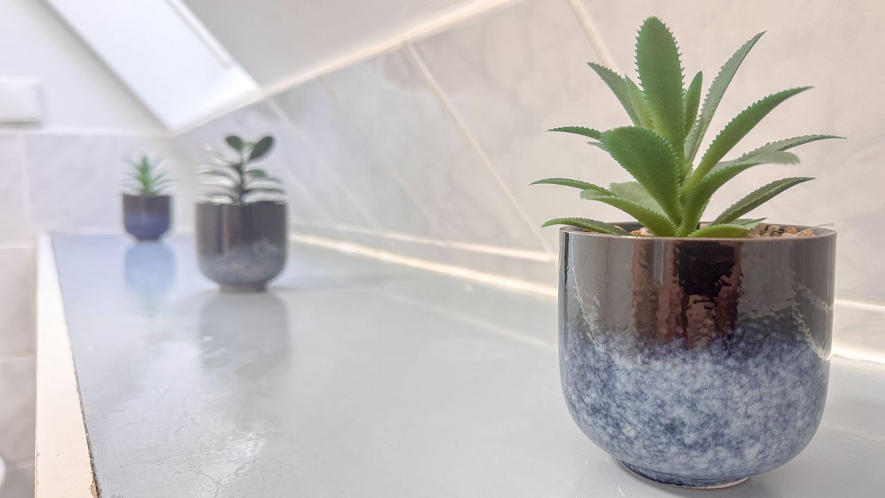 Historic Stay 1898 – 6 Rooms, Bremen - Amsterdam Apartments for Rent