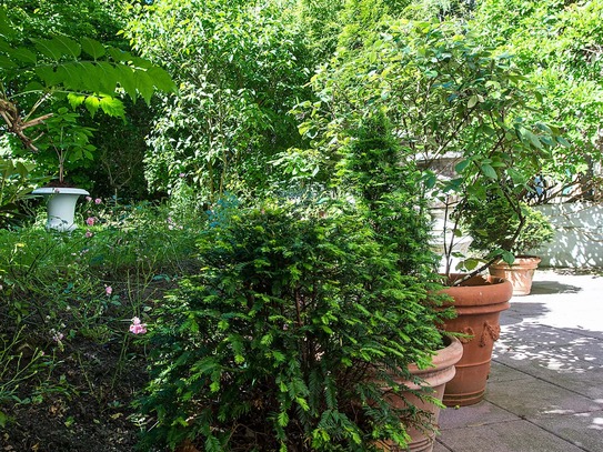 Apartment with a view on the front garden