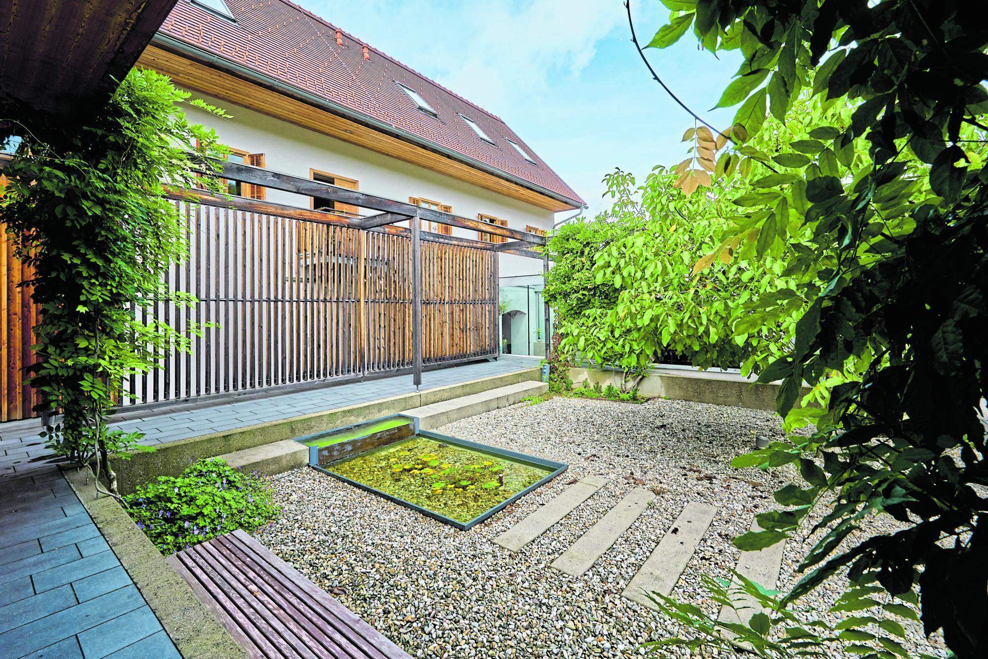 ExSkispringer Bastian Kaltenböck 